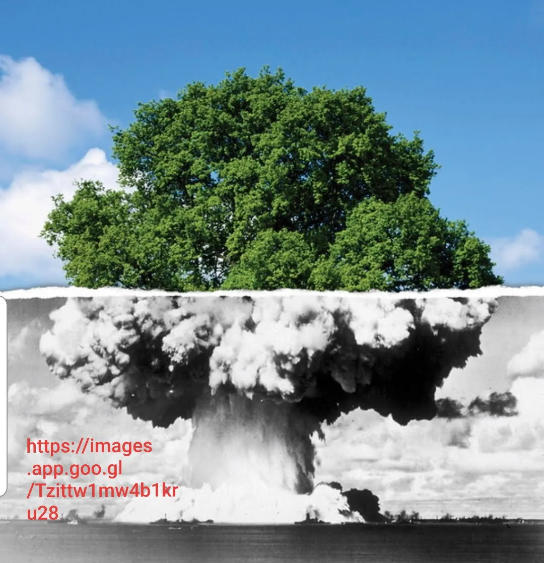 !آنچه در بین صحبتهای ترامپ بود...